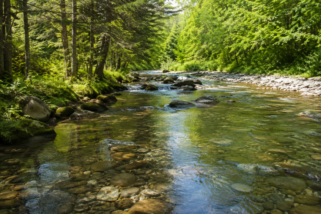 Vine Brook Environmental offers expert environmental consulting